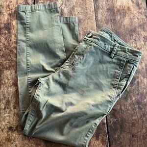 Birddogs Men's Olive green Chinos